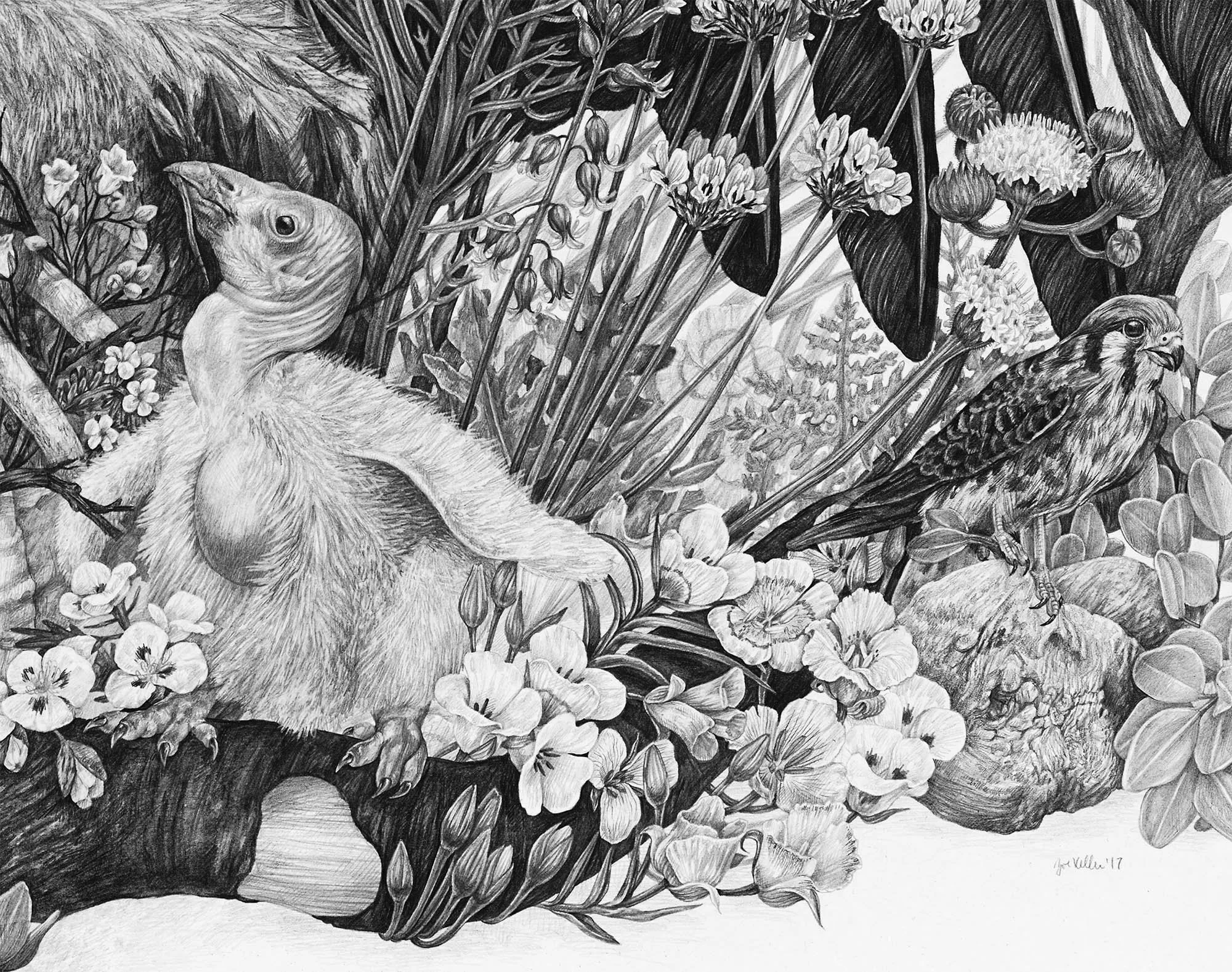 K*様 Zoe Keller 版画 Store — Zoe Keller Nature Art